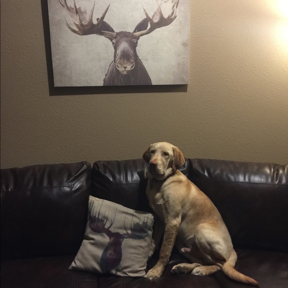 Meet your Posher, Mallory